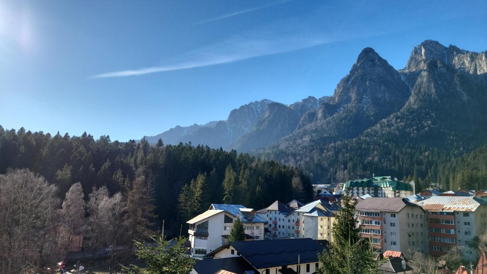 Cameră dublă cu vedere la munte